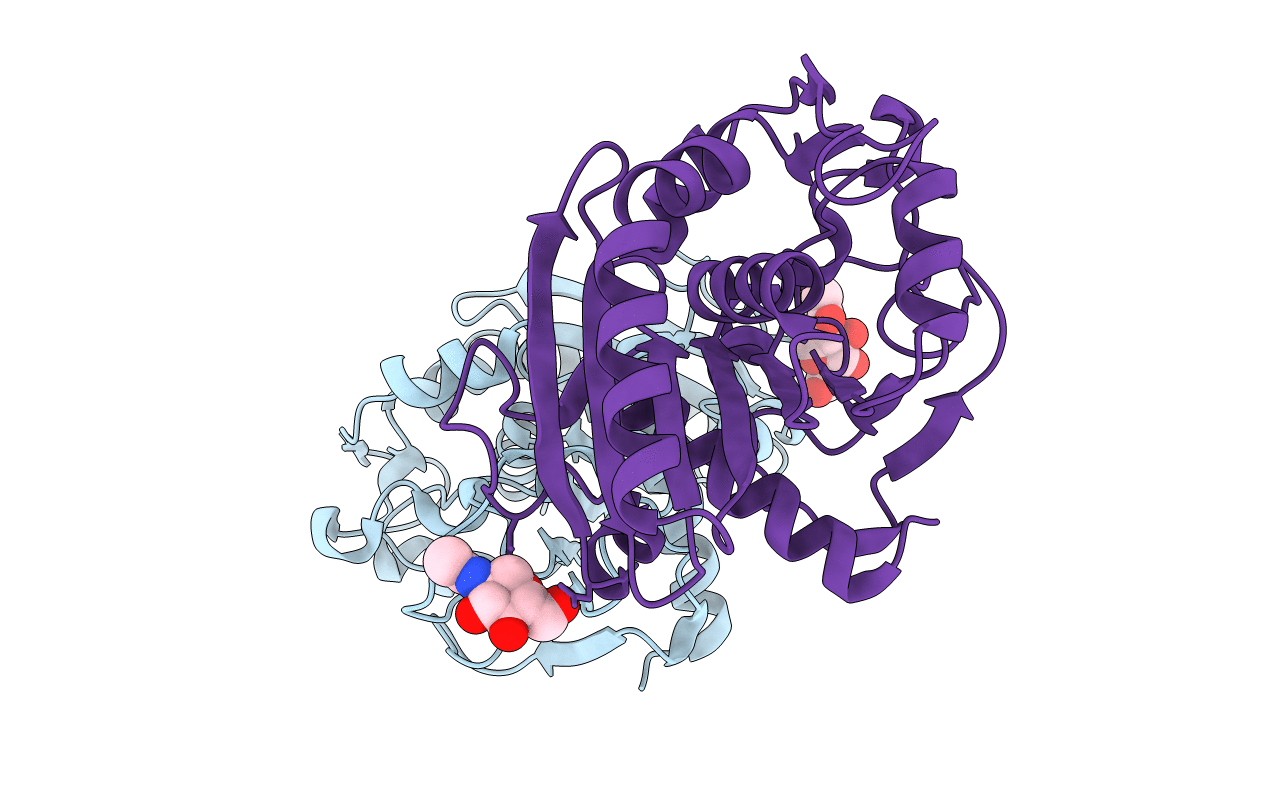 4DYH image