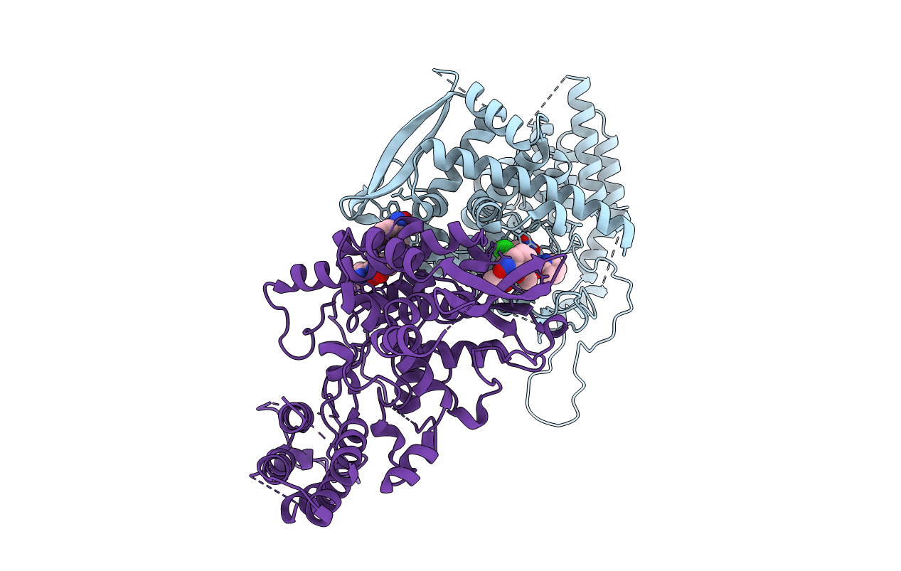 4DYN image