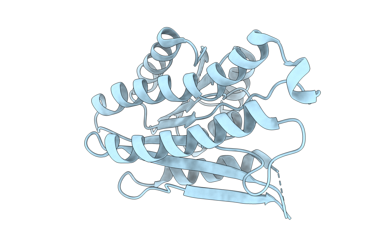 4DYV image