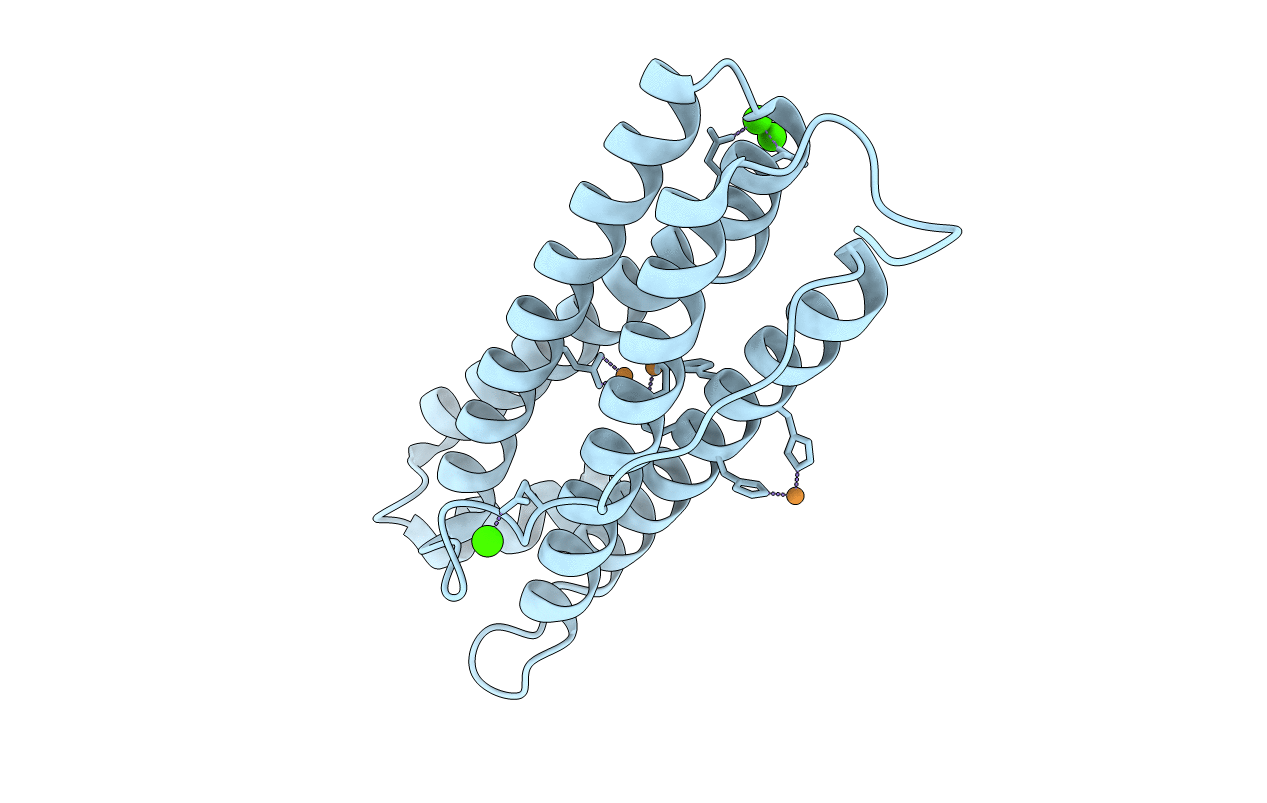4DYX image