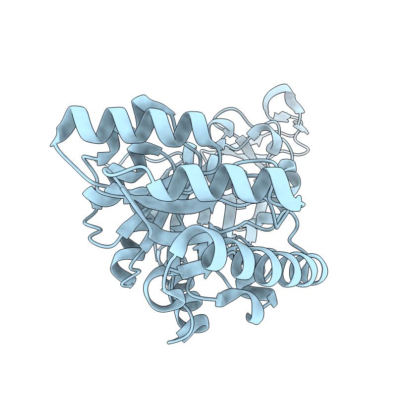4DZA image