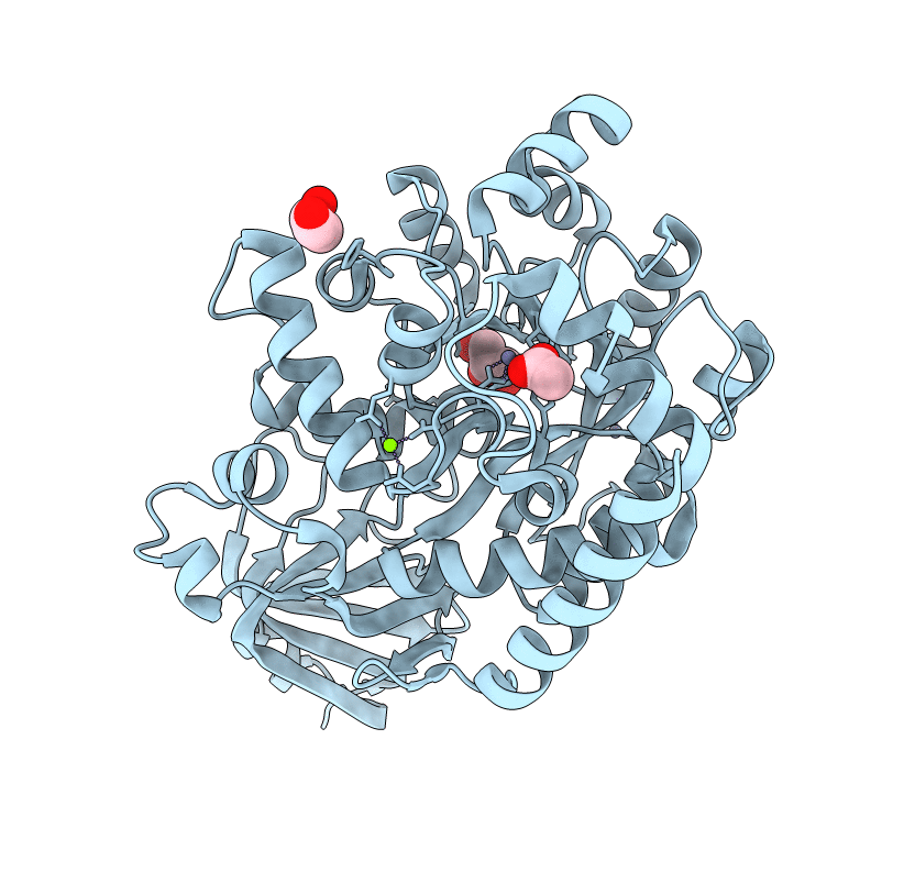 4DZH image