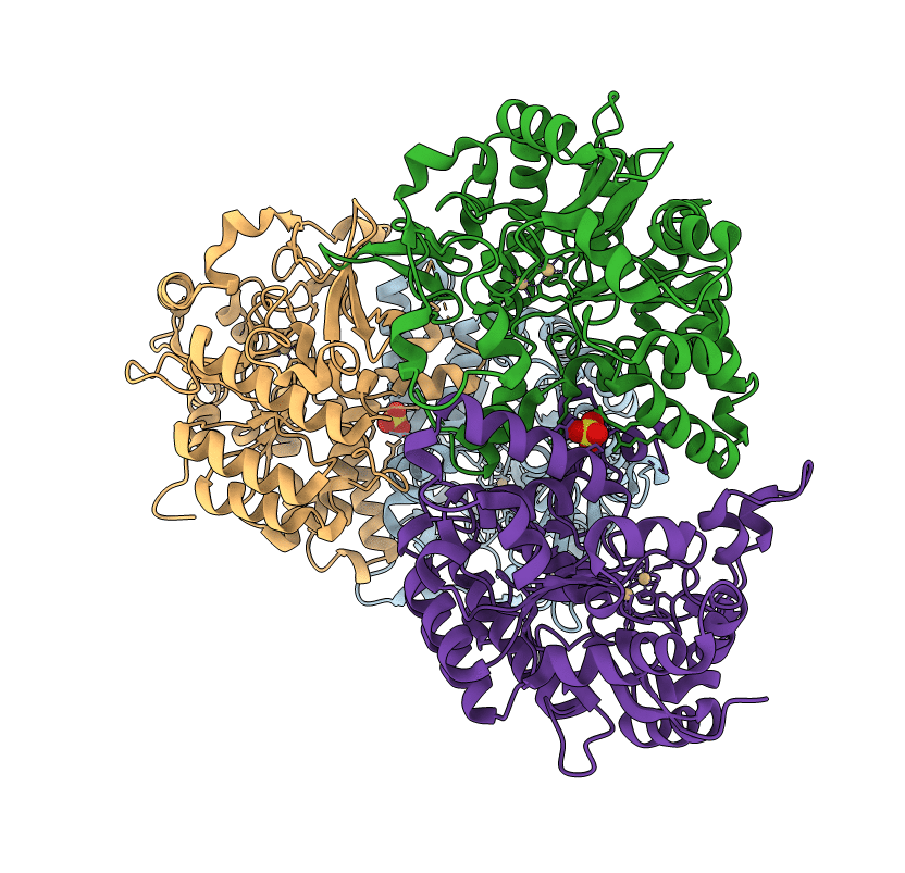 4DZI image