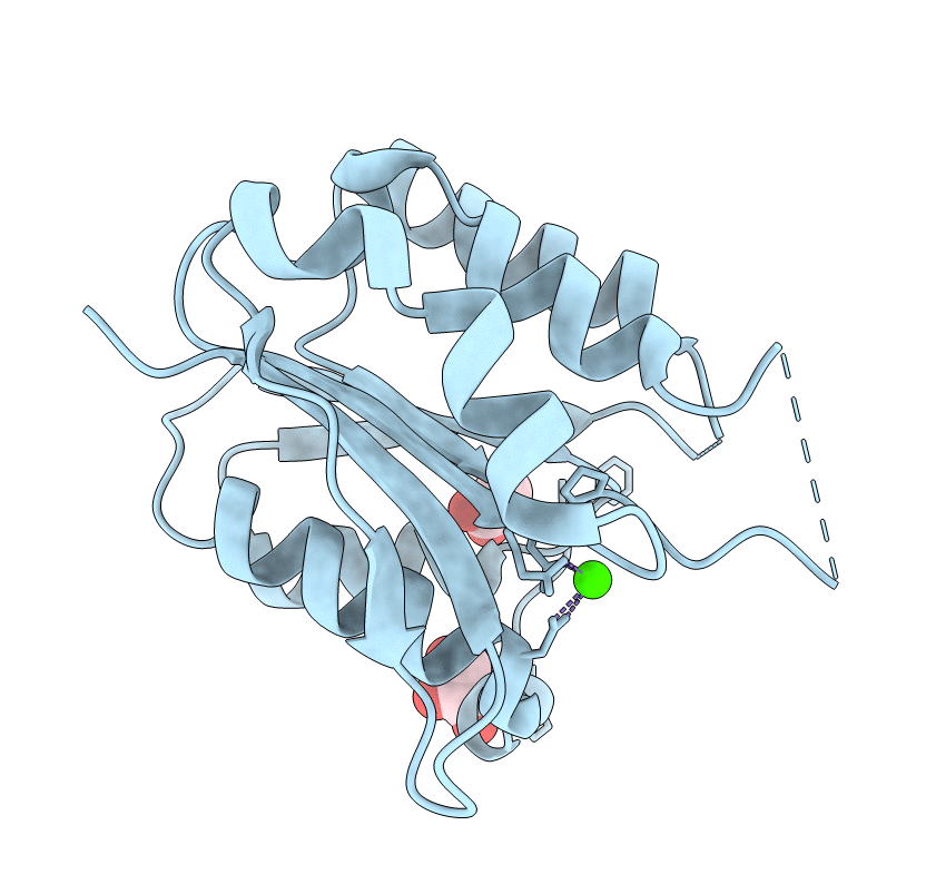 4DZR image