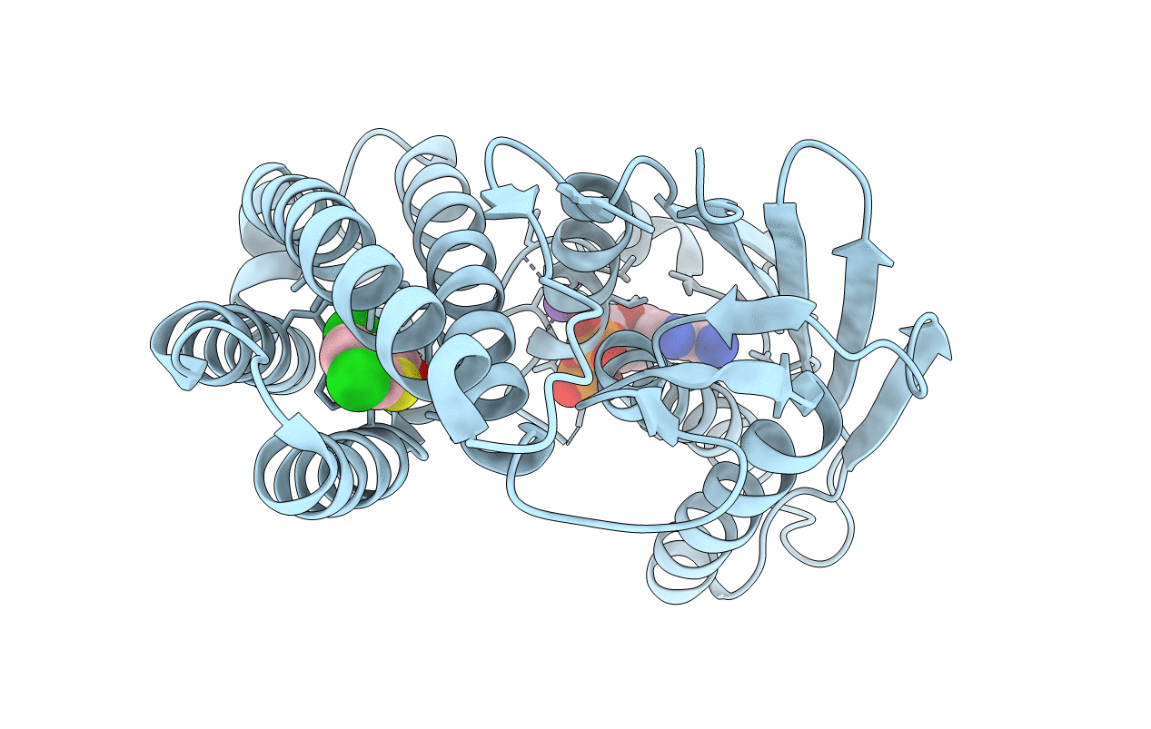 4E00 image