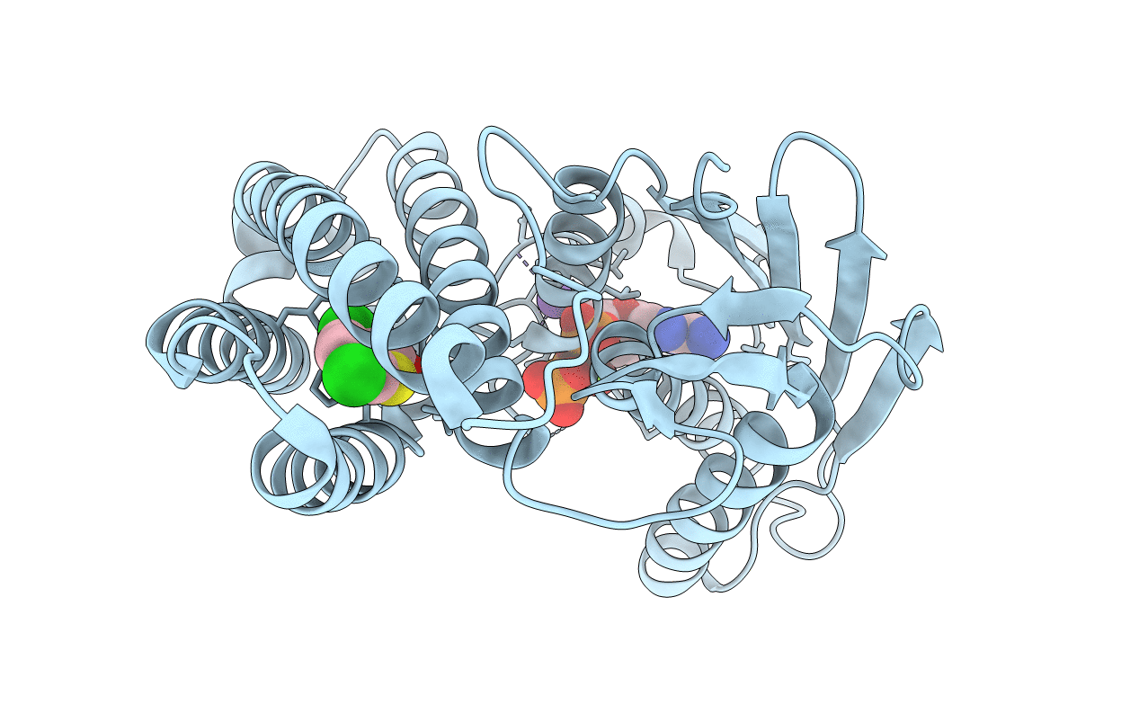 4E01 image