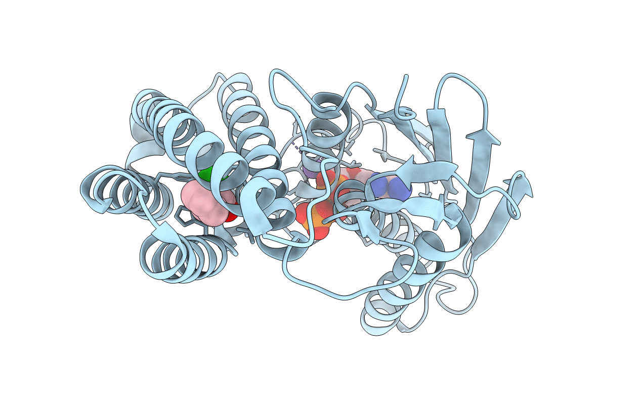 4E02 image