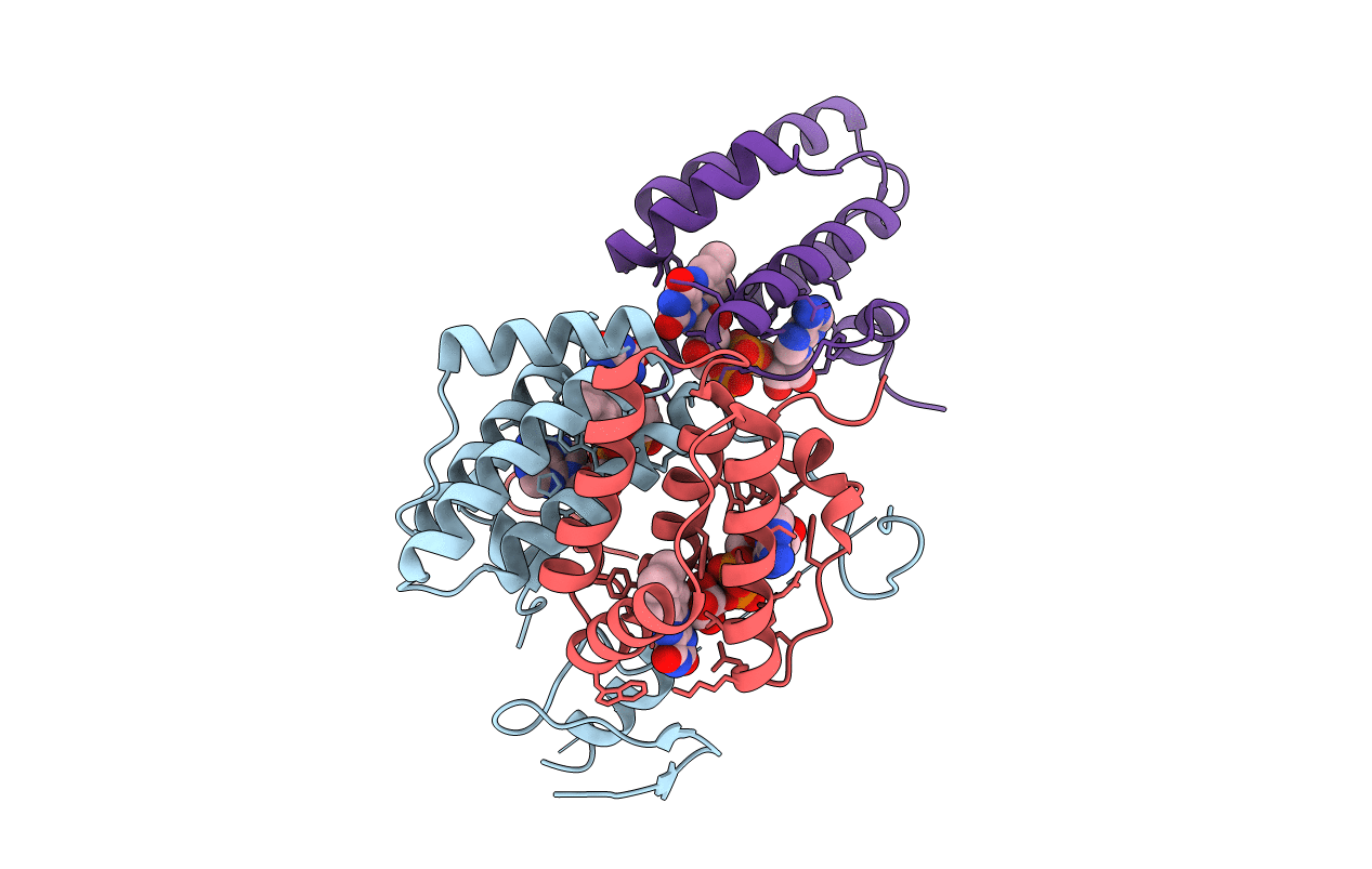 4E0I image