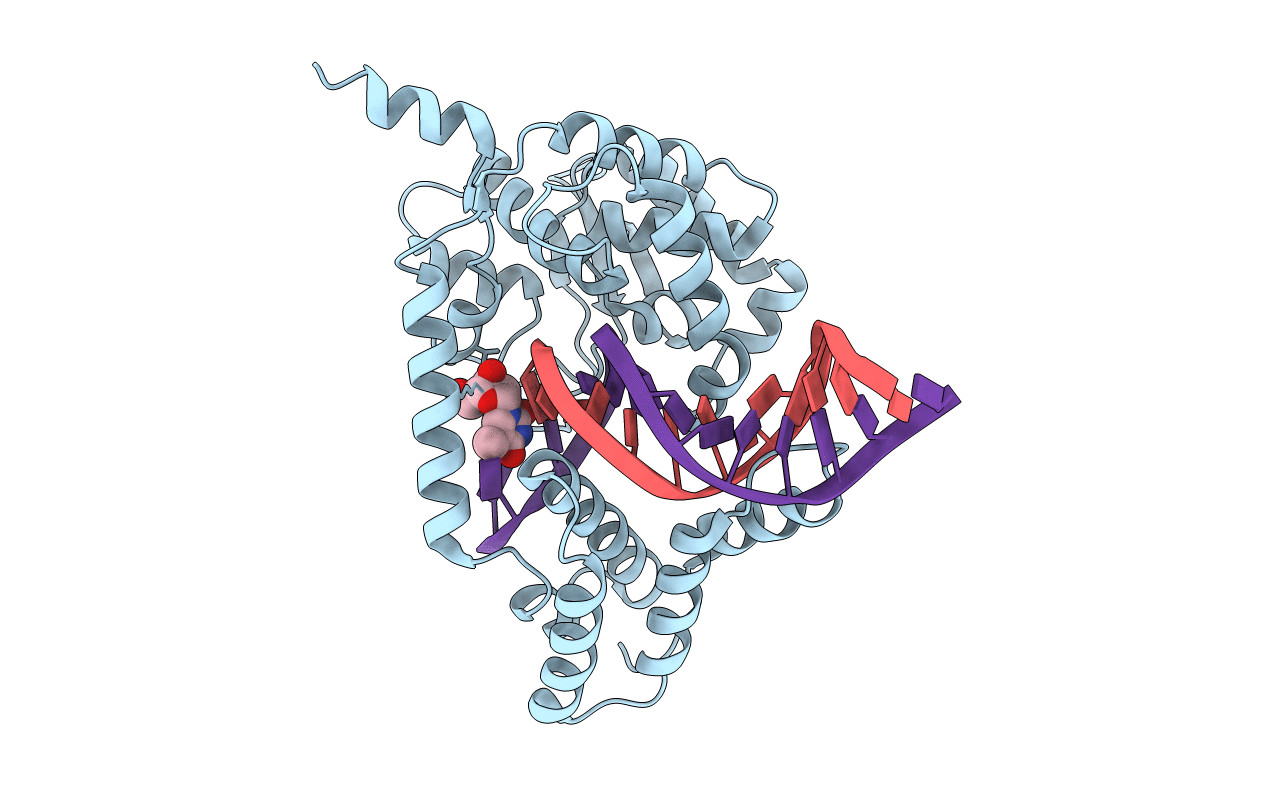 4E10 image