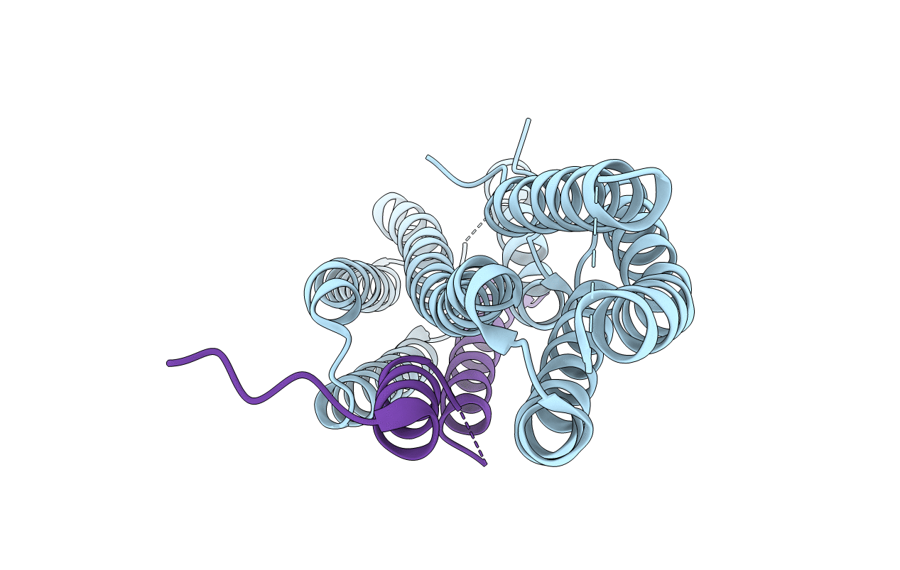 4E18 image