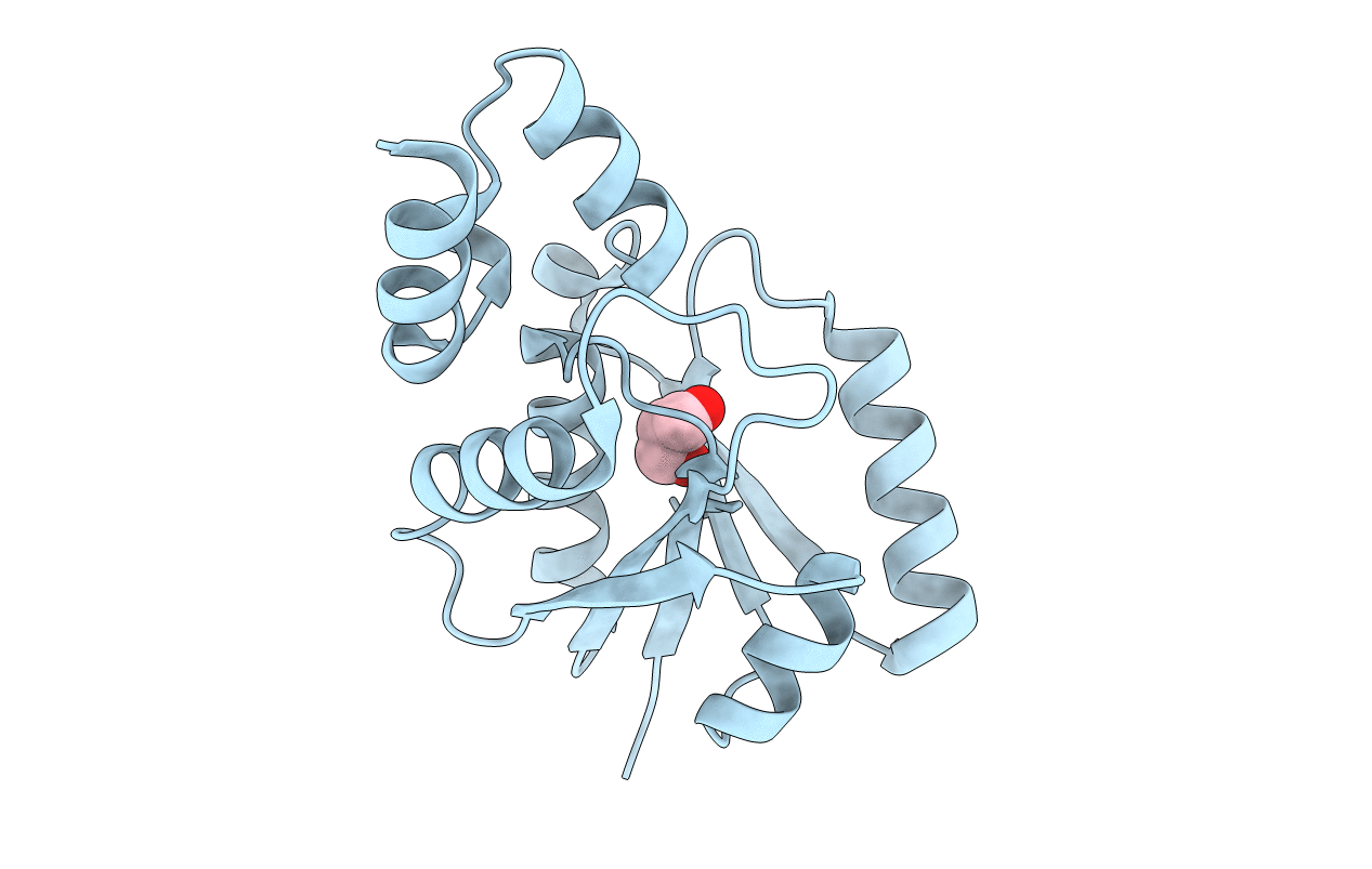 4E1A image