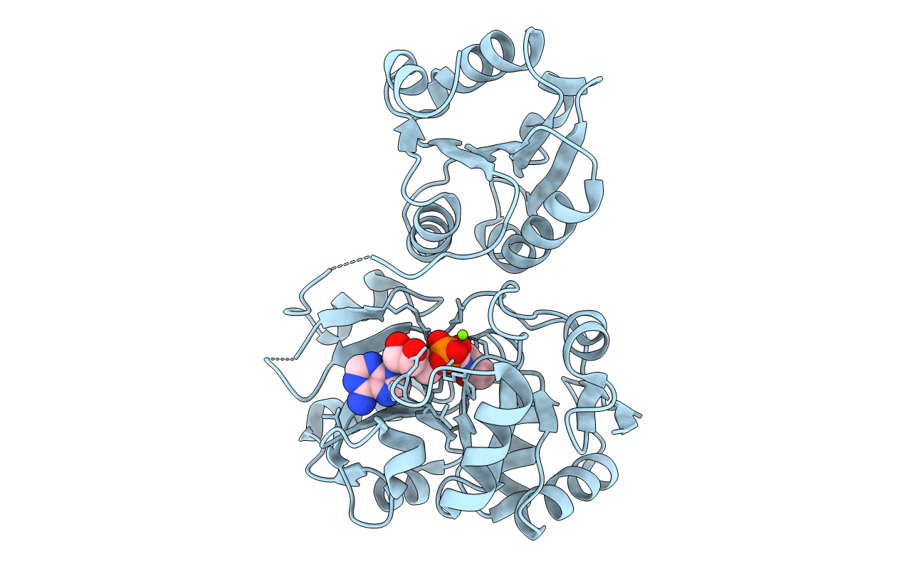 4E1B image