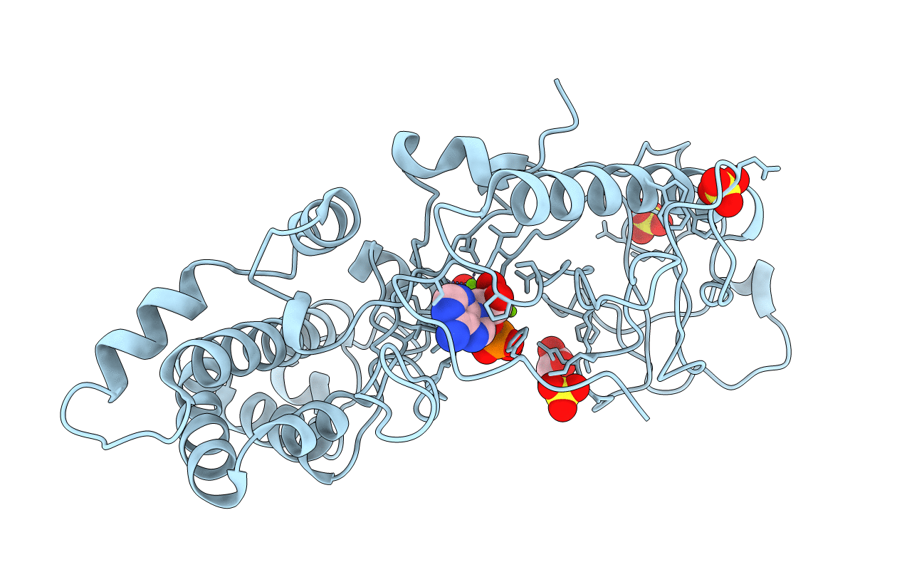 4E1C image