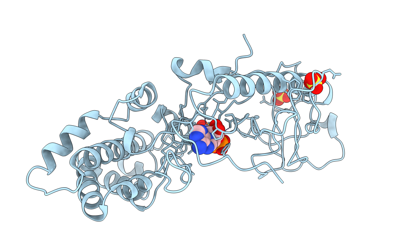 4E1D image