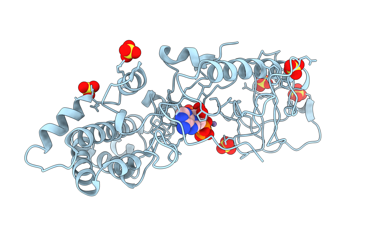 4E1F image