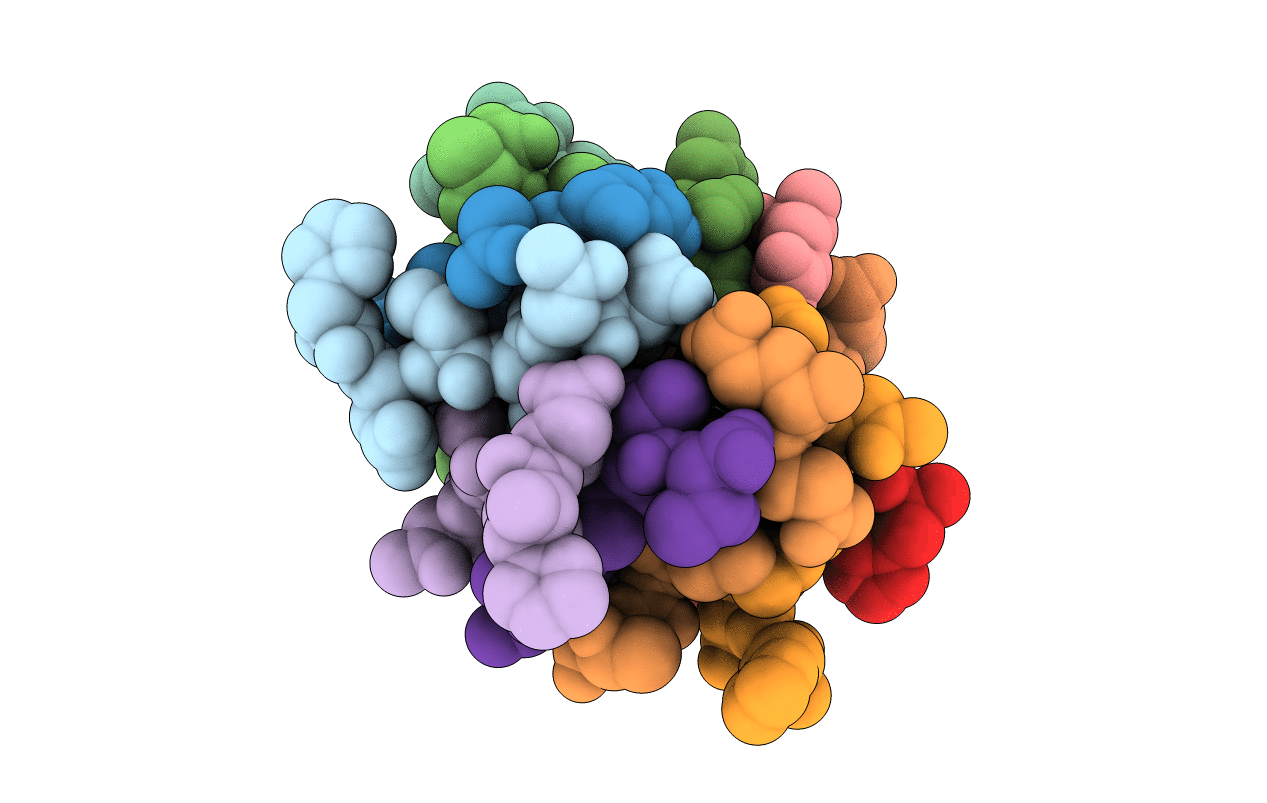 4E1I image