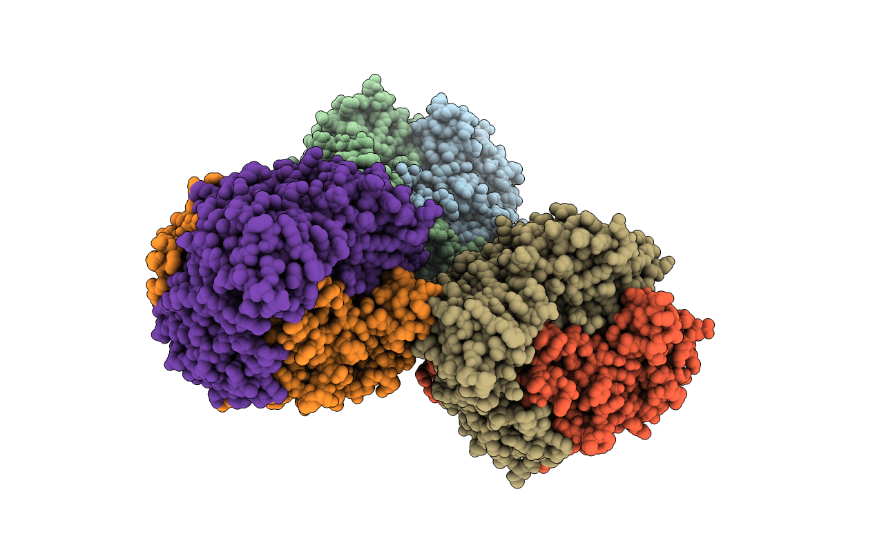 4E1O image
