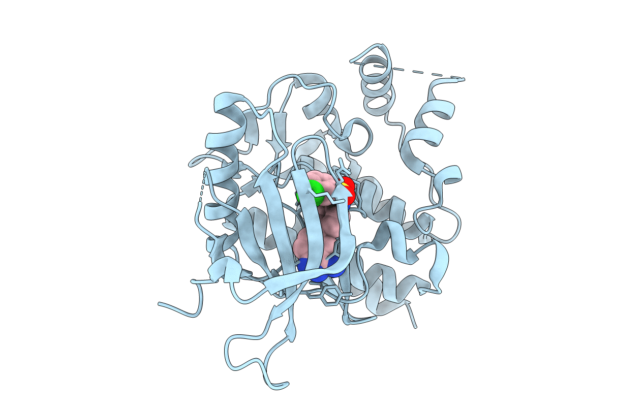 4E20 image