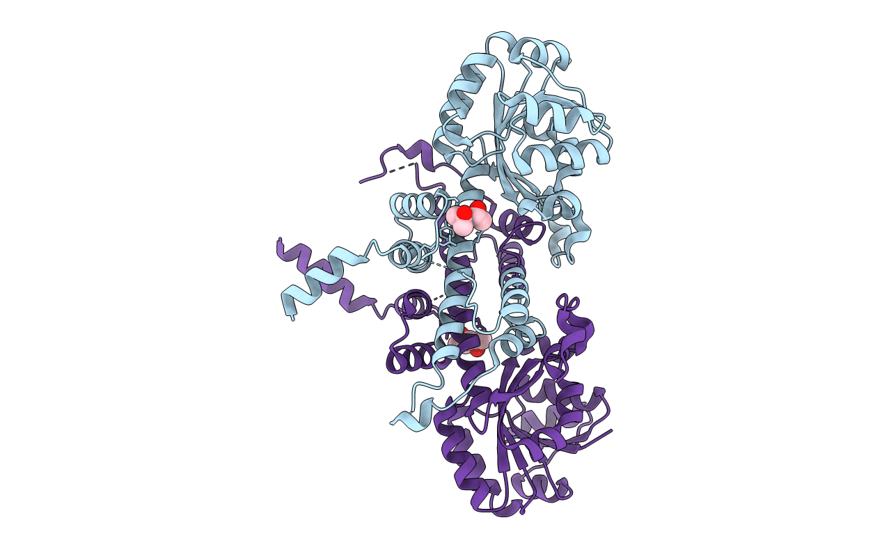 4E21 image
