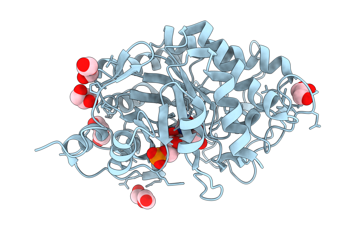 4E2B image