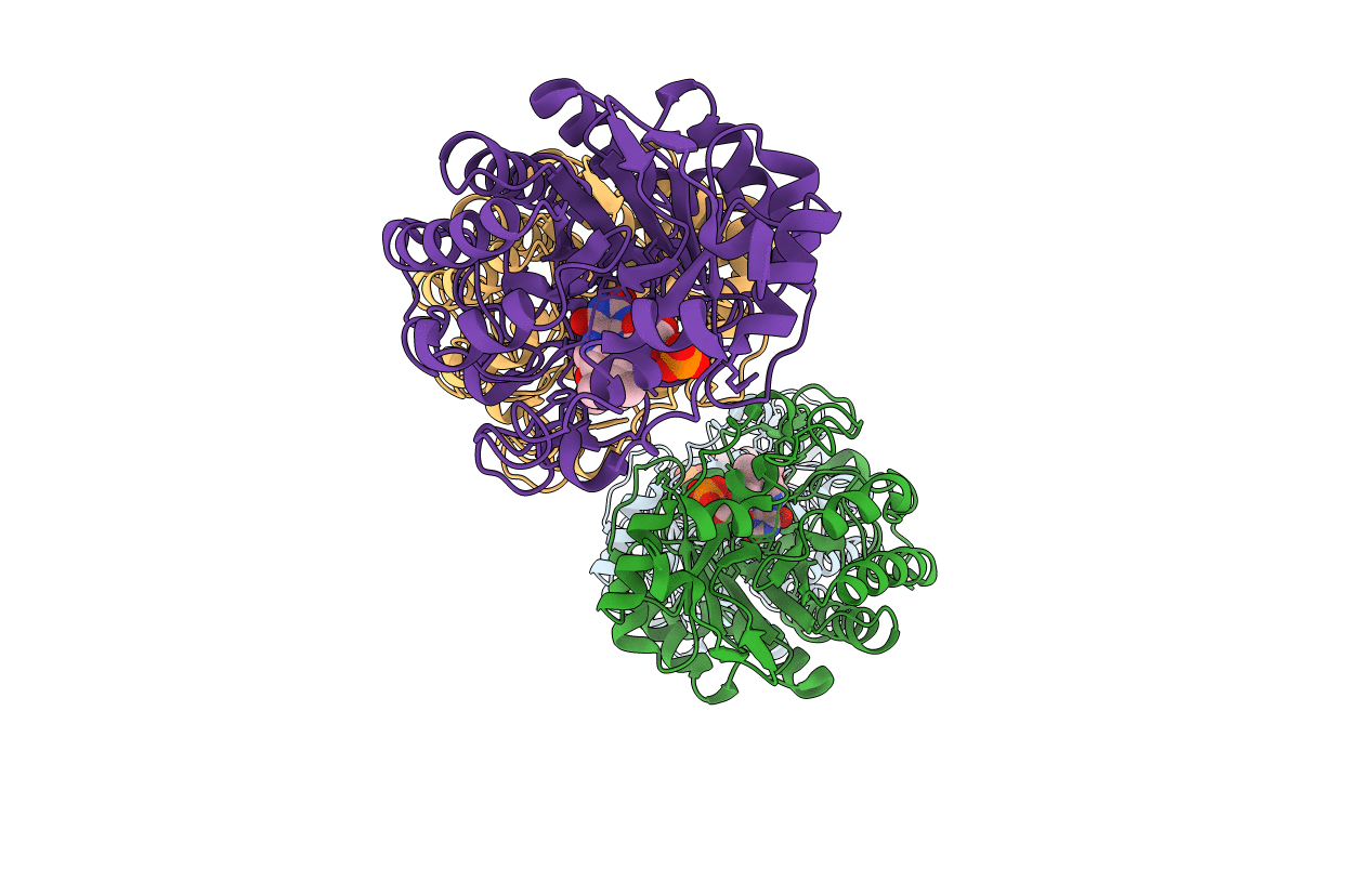 4E2D image