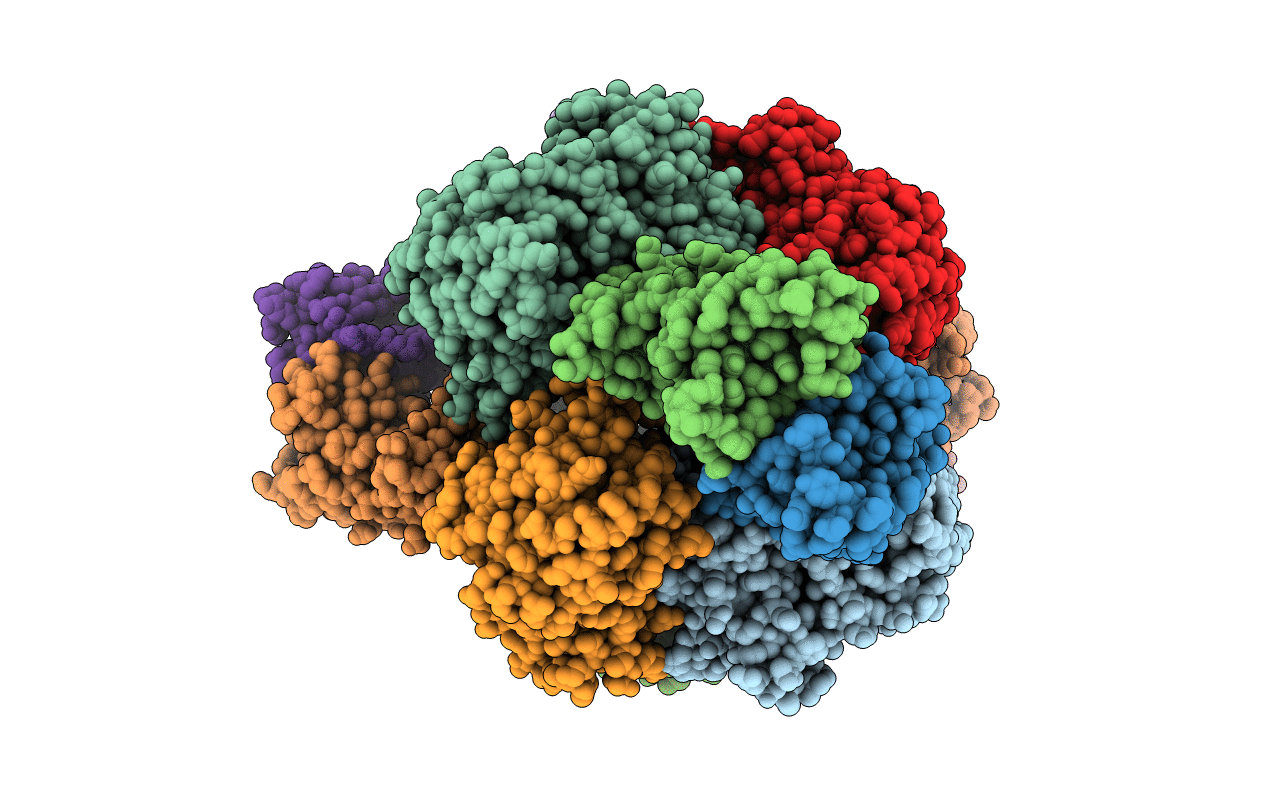 4E2F image