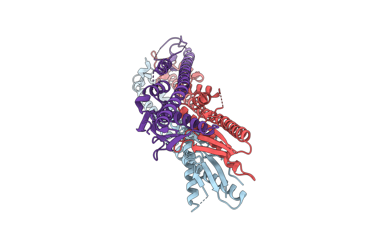 4E2H image