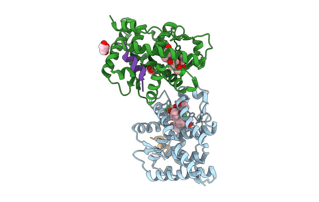 4E2J image