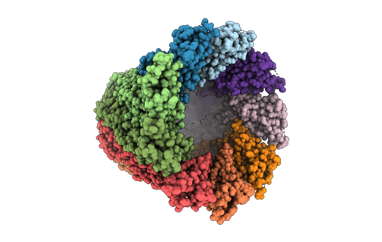 4E2L image