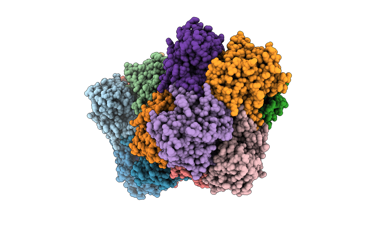 4E2S image