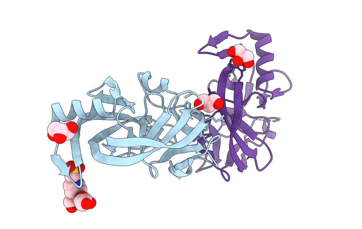 4E2T image