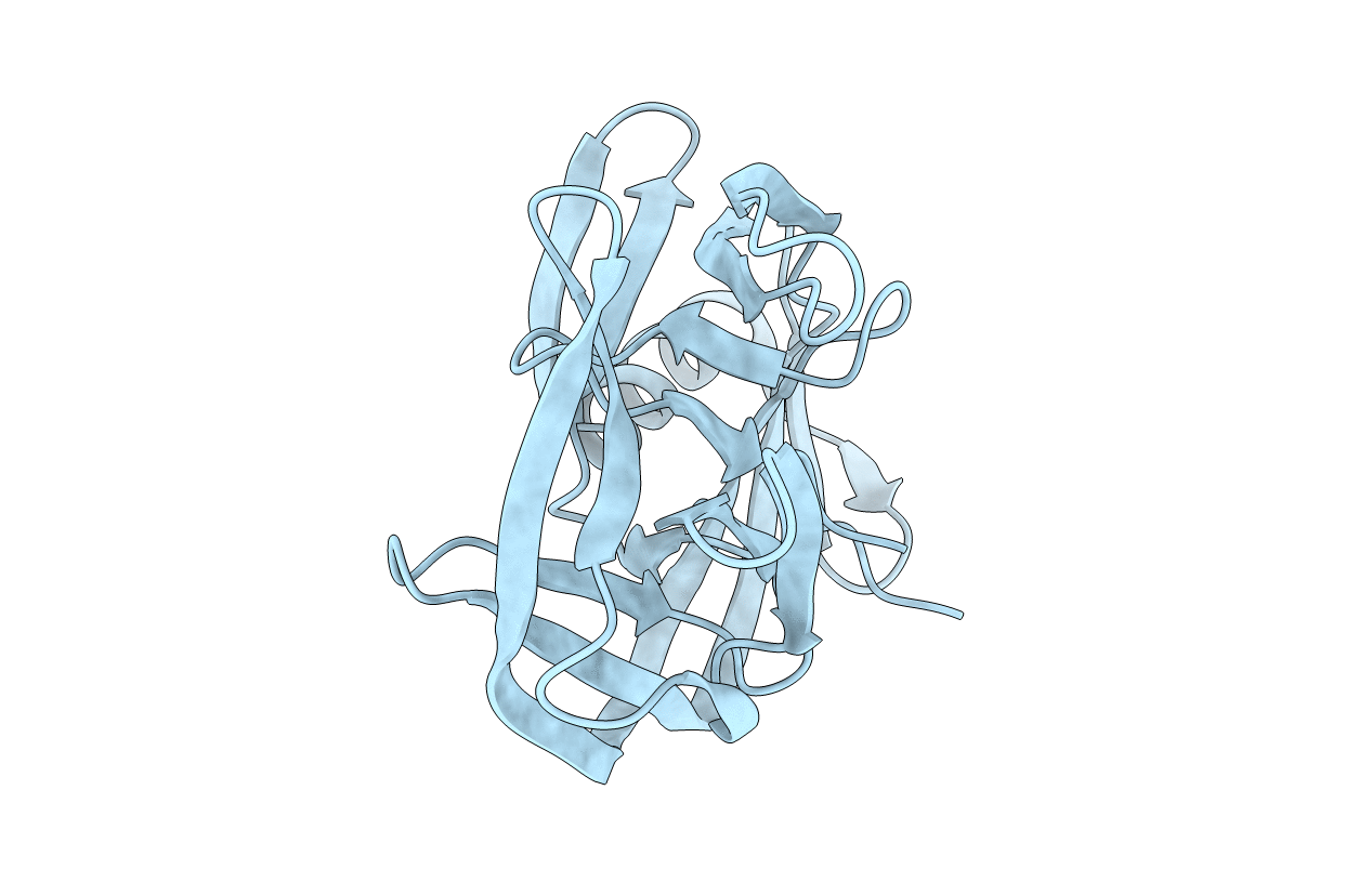 4E2U image