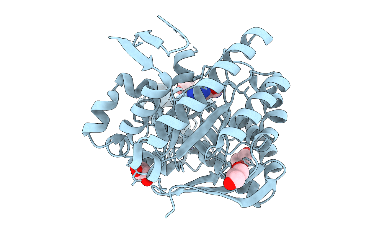 4E2V image