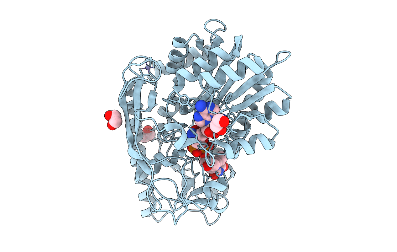 4E2W image