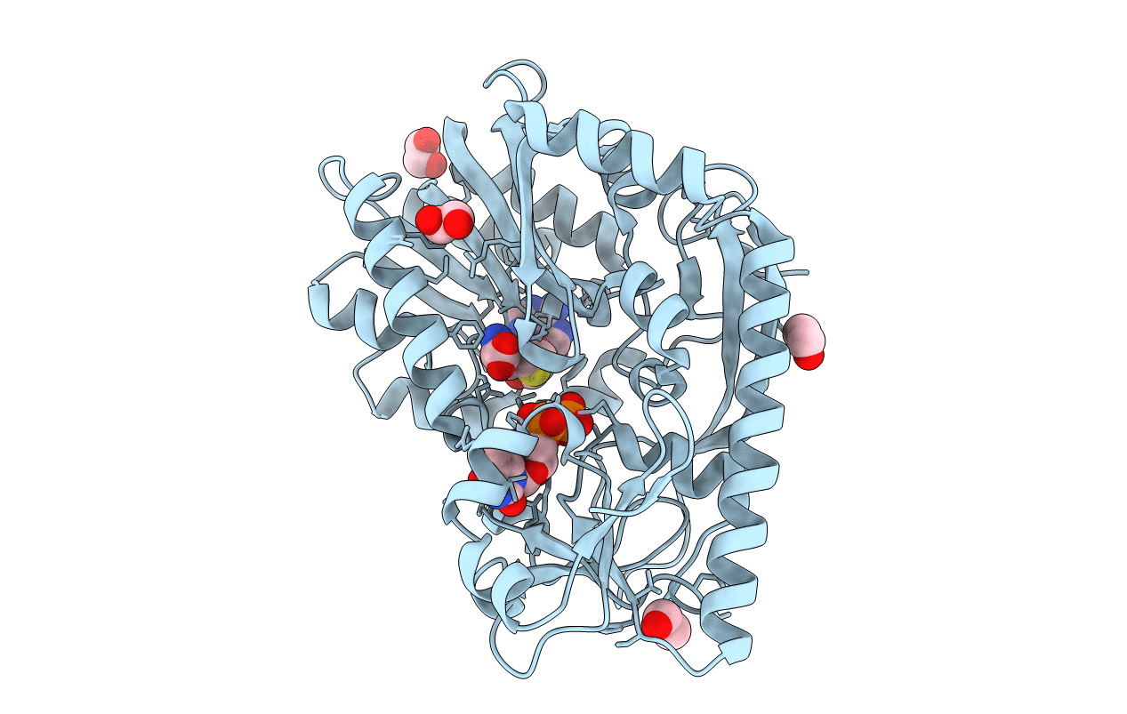 4E2X image