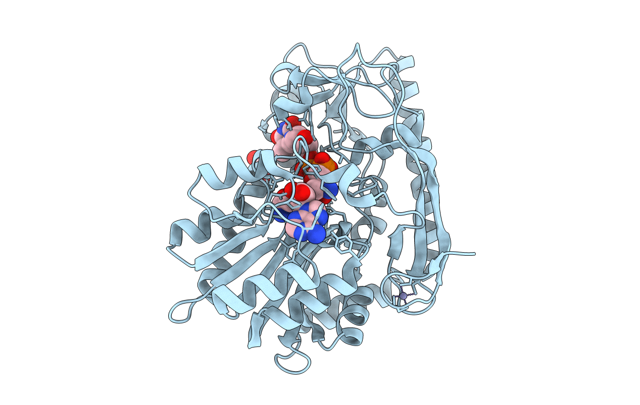 4E2Z image