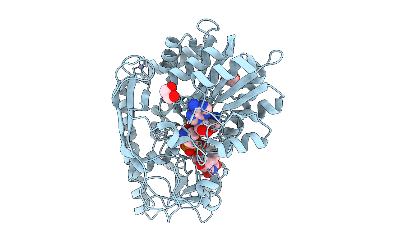 4E31 image