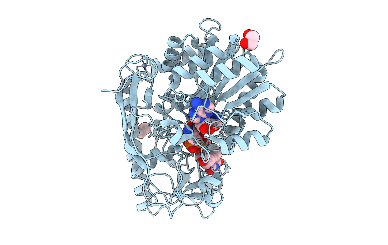 4E32 image