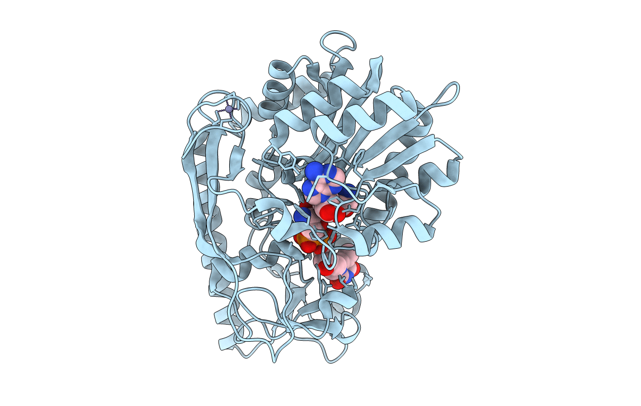 4E33 image