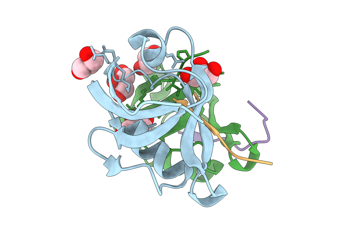 4E35 image