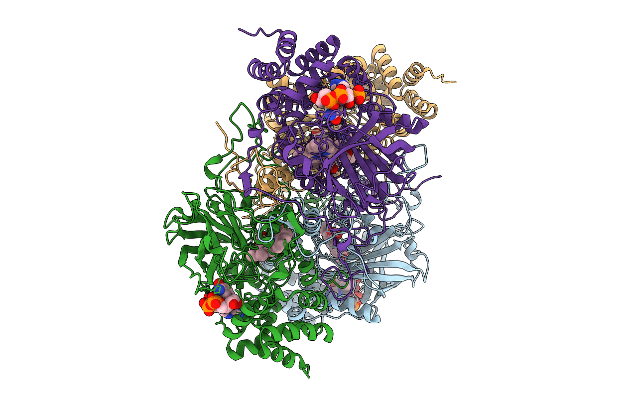 4E37 image
