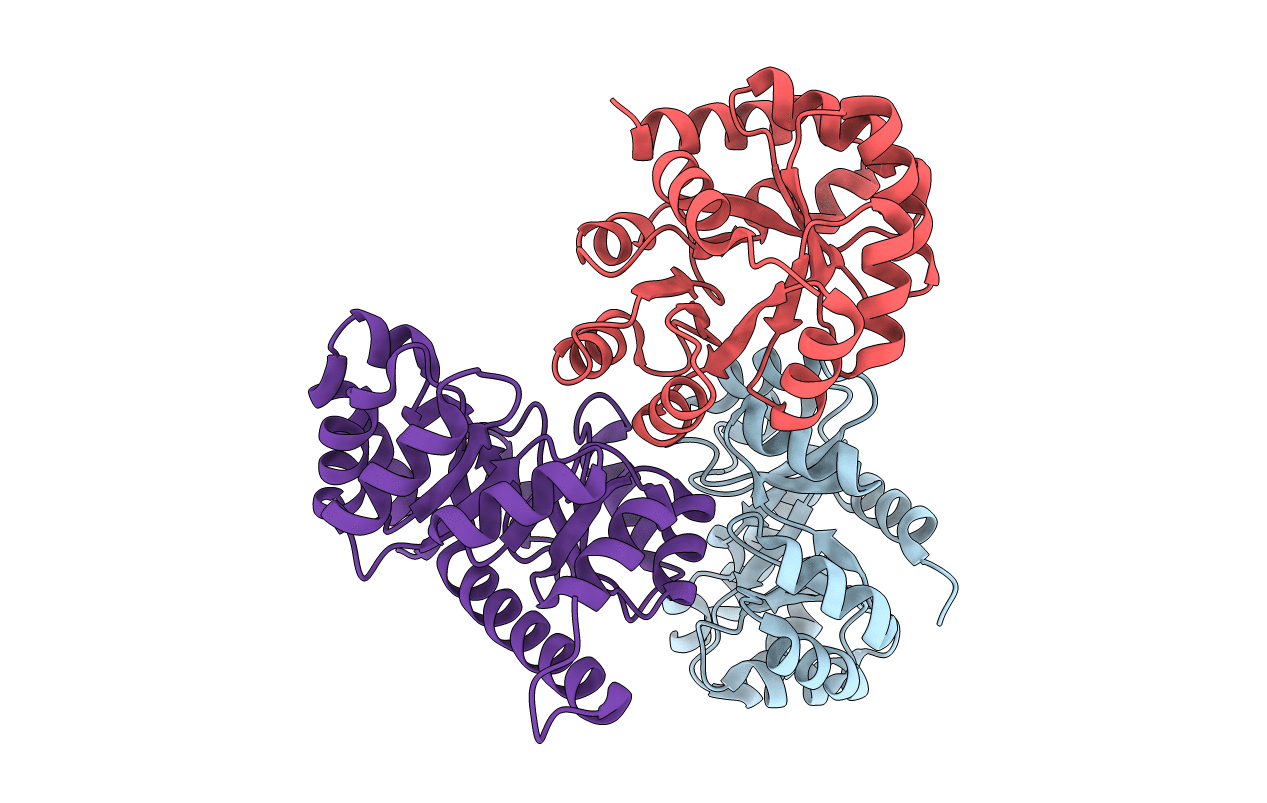4E38 image