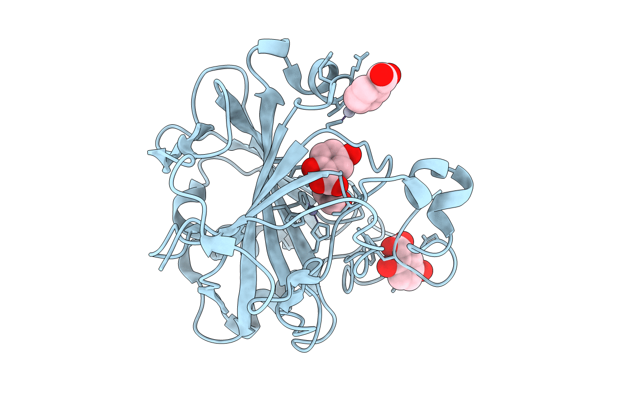 4E3D image
