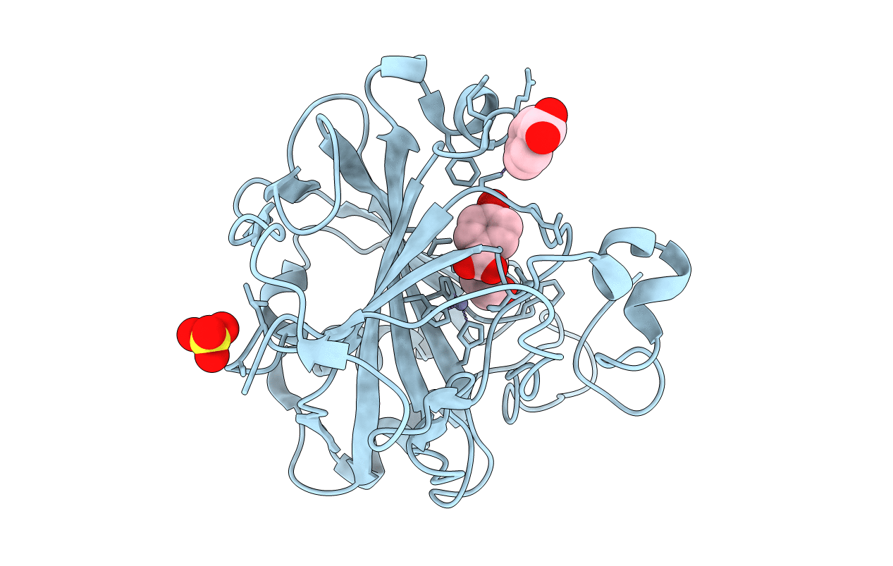 4E3G image