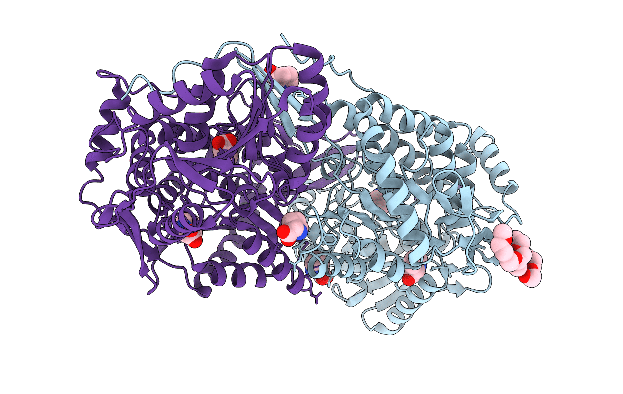 4E3X image