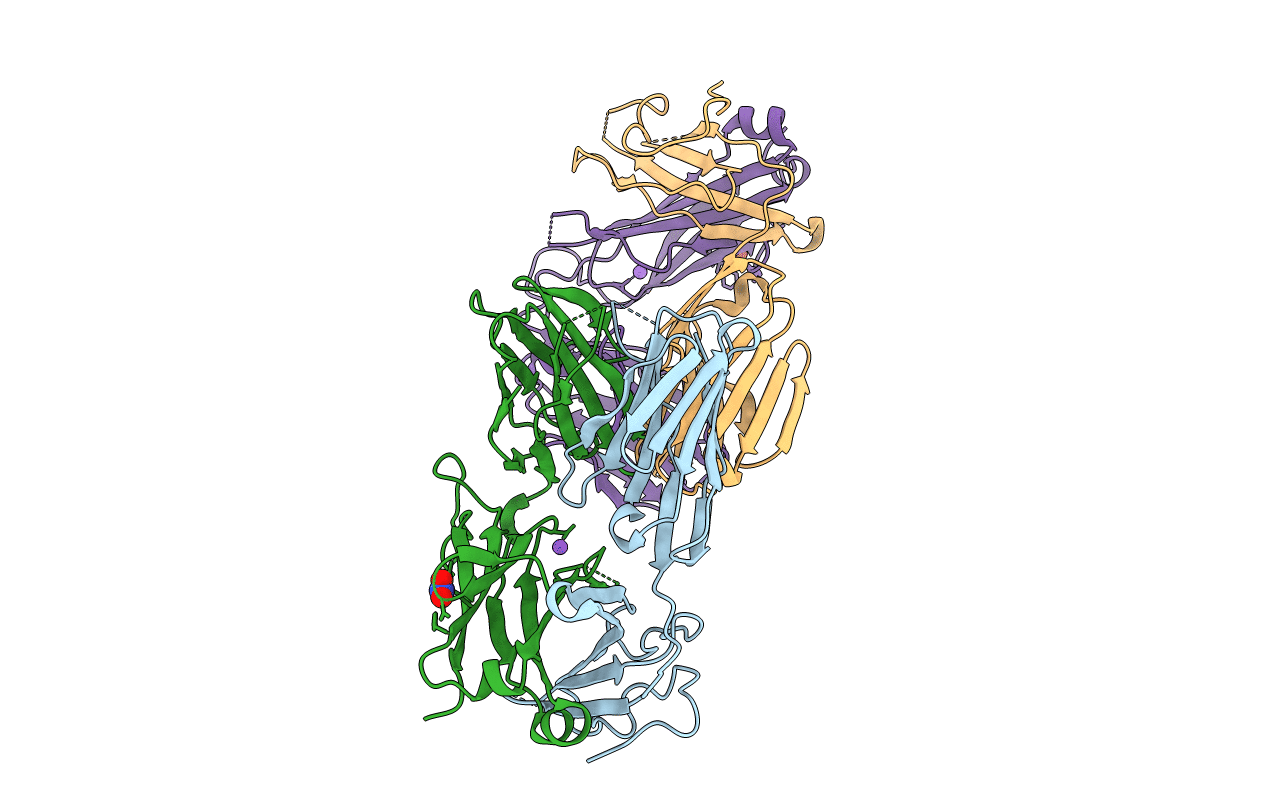 4E42 image