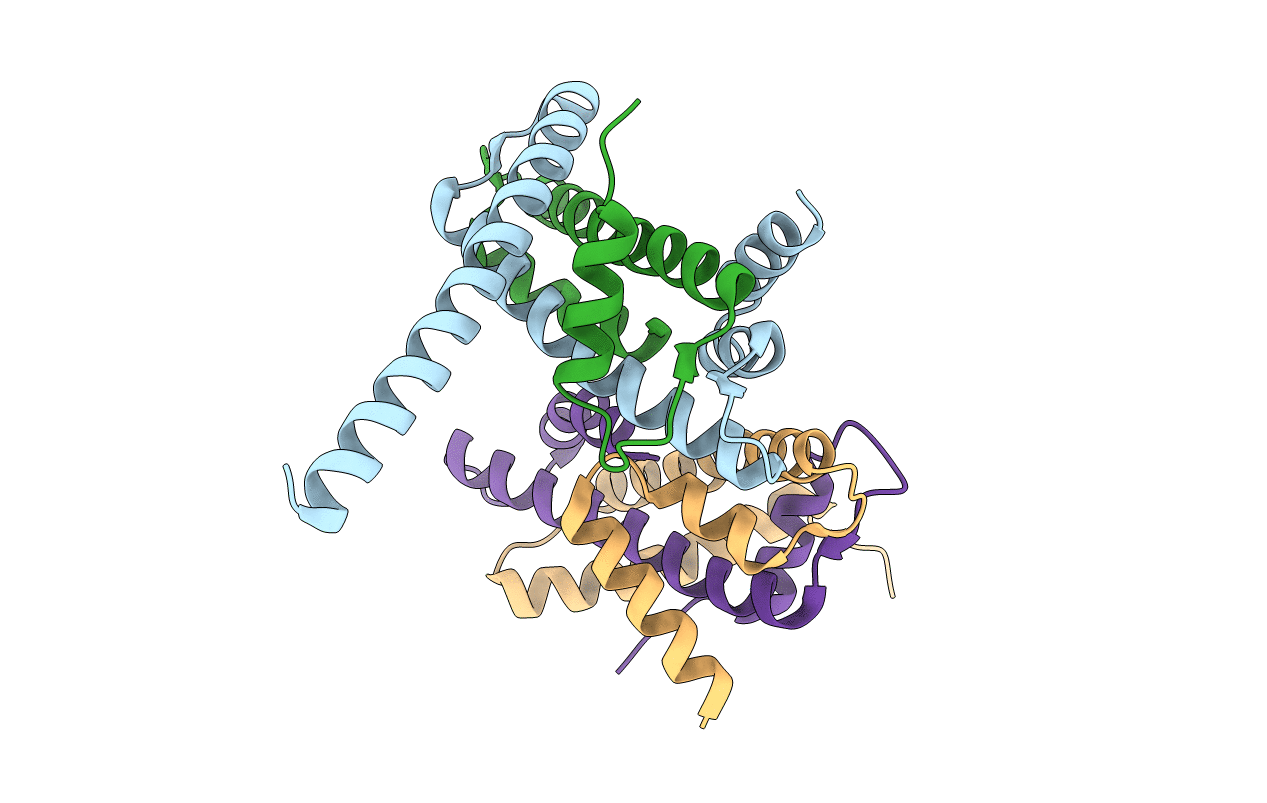 4E44 image