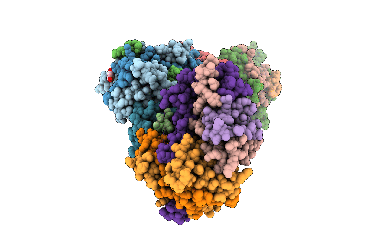 4E45 image