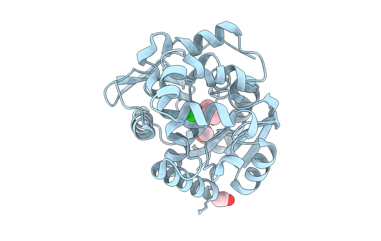 4E46 image