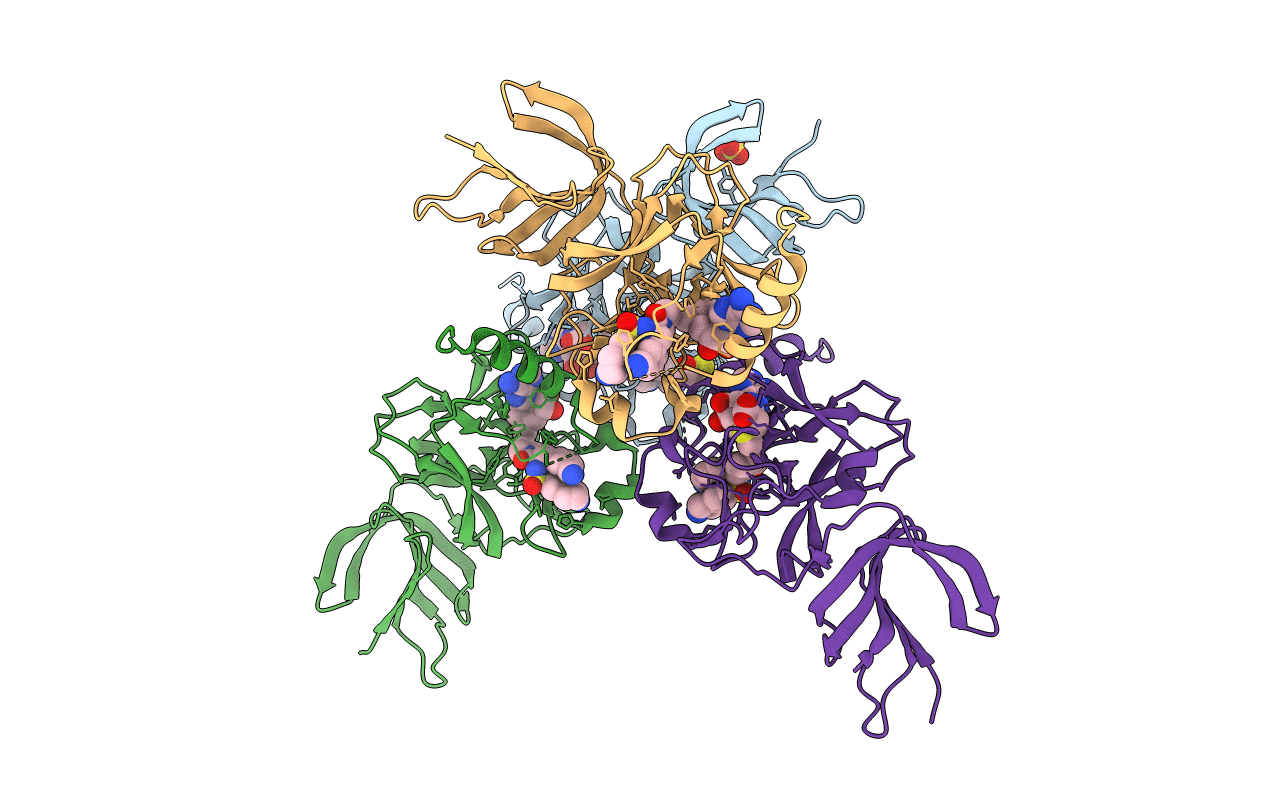 4E47 image